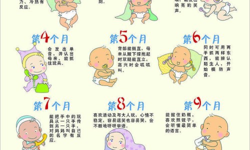 低热低碳水的食物都有哪些-低碳水的主食有哪些、低碳水食物有哪些食物排行表 -低热低碳水的食物网